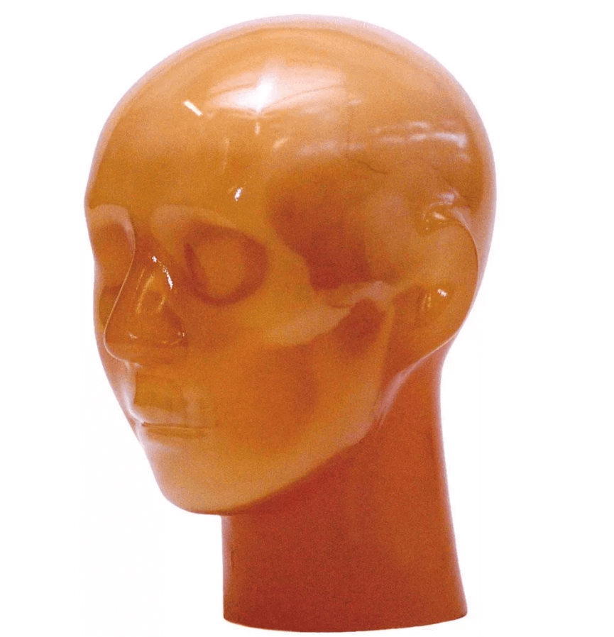 Angiographie Kopfmodell - Erler - Zimmer